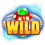 Wild Wild